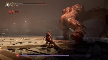 اکانت قانونی بازی NINJA GAIDEN 2 Black