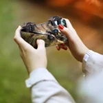 تریگر موبایل